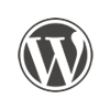 wordpress-expert-experience-website-builder-webdesign-coding-coder-ray-mongey-dublin-ireland